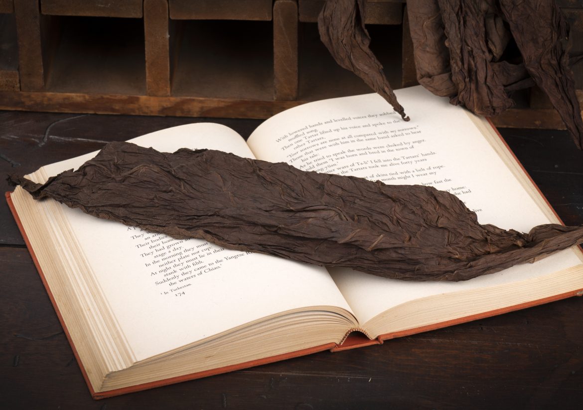 Tobacco leaf and book