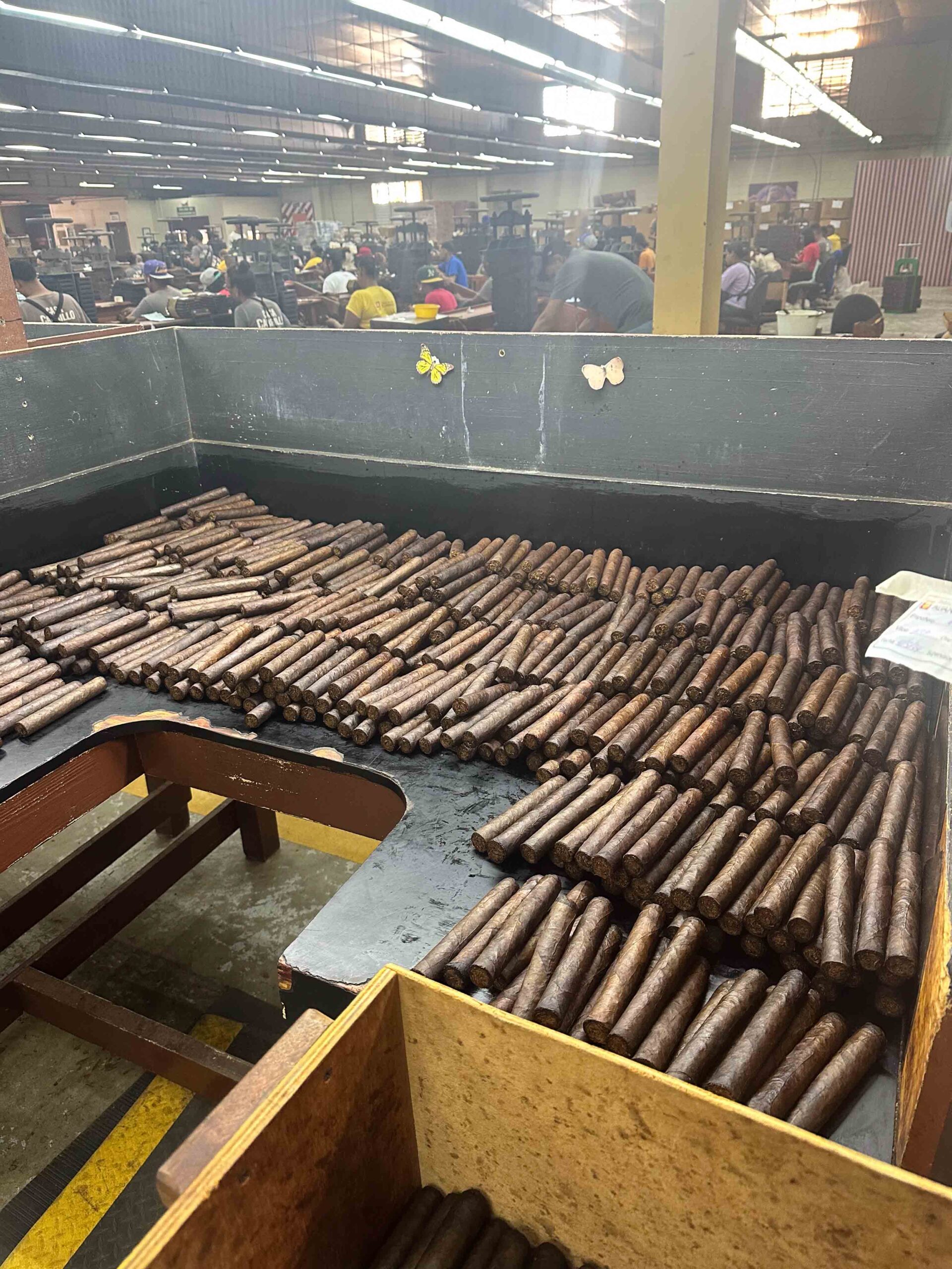 Discovering the Artistry of Cigar Rolling: A Journey at Casa Carrillo